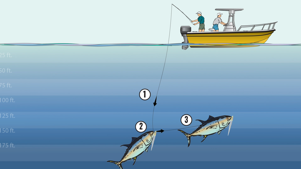 How To: Slow Jigging the Hogy Harness Jig for Giant Bluefin Tuna East –  Hogy Lure Company Online Shop