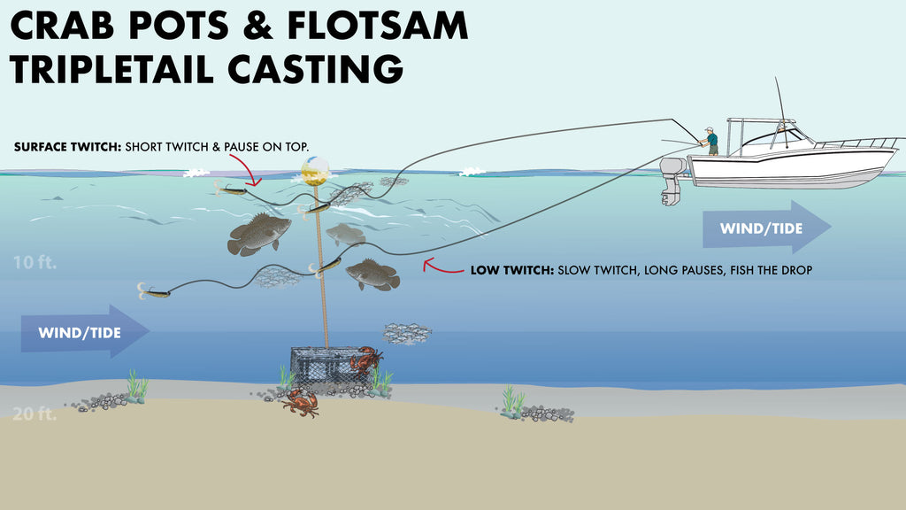 Tripletail fishing crab pots with lures