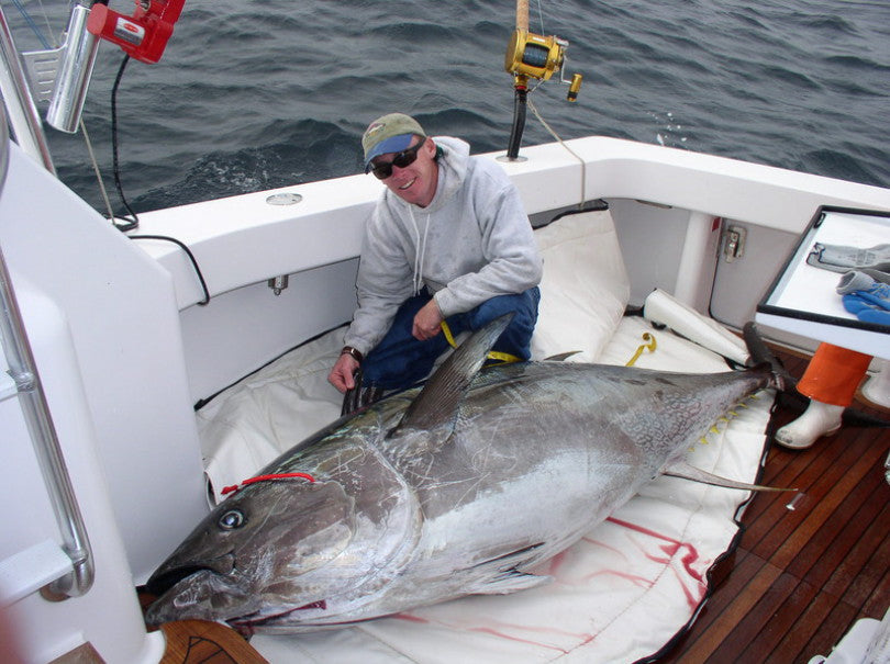 Poon Harpoon Giant Tuna