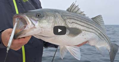 How-To: Rip Fishing for Striped Bass From Shore #157 – Hogy Lure Company  Online Shop