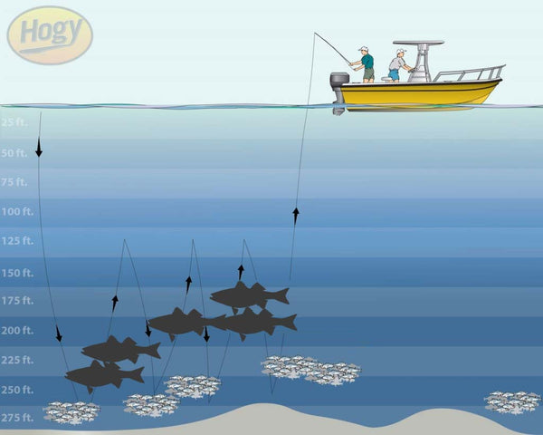 Video: Slow Jigging Deepwater Jigging Stripers on Sand Eels – Hogy Lure  Company Online Shop