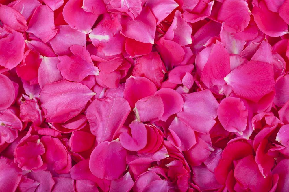 Preserved rose petals - Pale pink