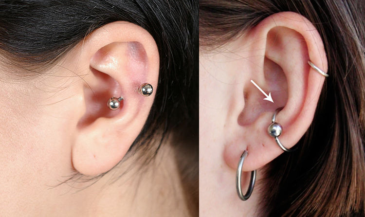 The Conch Piercing Everything You Need To Know Freshtrends