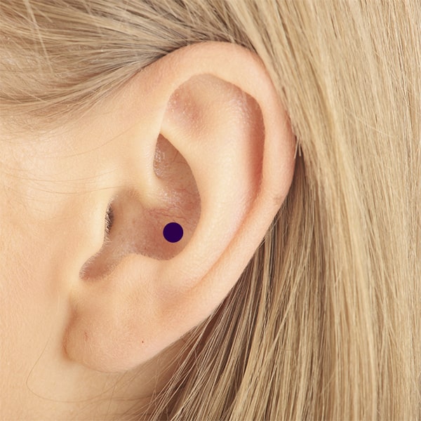Ear Piercings: A Fashionable Expression of Personal Style