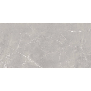 Acadia Gray Porcelain Tile 12x24 Sample - Tile Club
