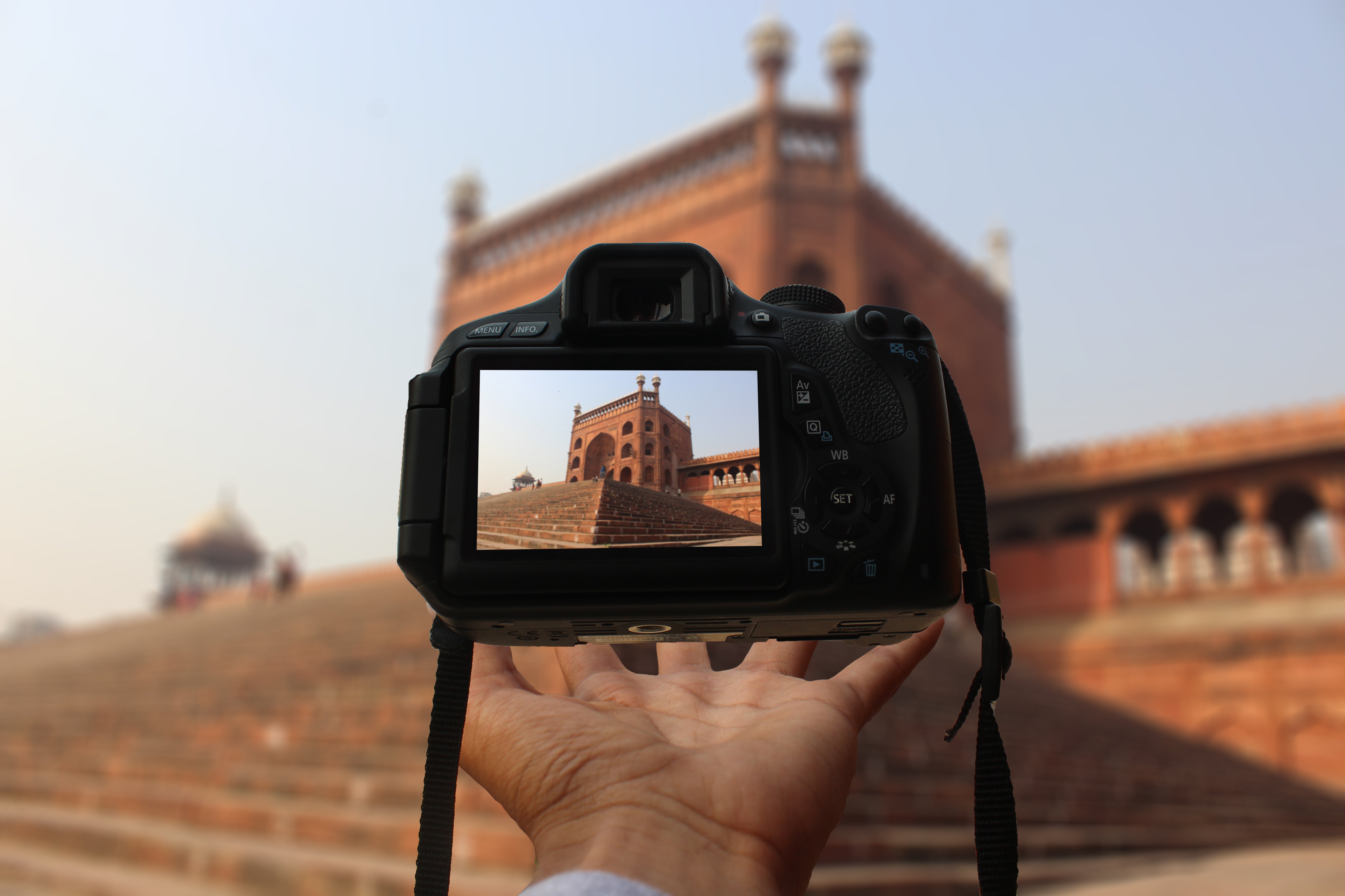 person holding black dslr camera