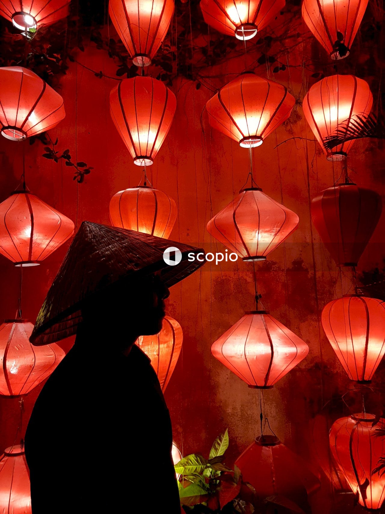 red and black paper lanterns