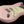 Load image into Gallery viewer, Xotic California Classic XSC-2 Shell Pink
