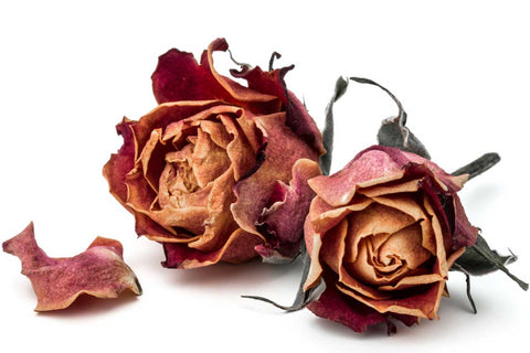 Real Dried Pressed Flowers For Resin Molds Rose Dried Flower Herbs Kit With  Tw