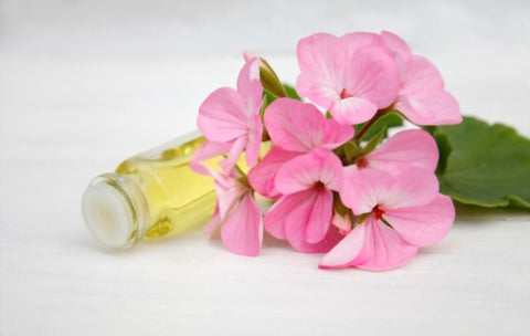 Geranium Essential Oil Benefits for Skin