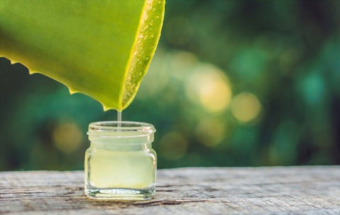 Aloe Vera And Olive Oil For Eczema