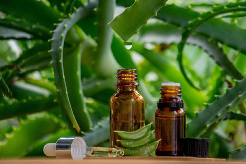 Aloe Vera Oil For Skin Care