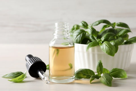 Basil Oil For Bug Bites