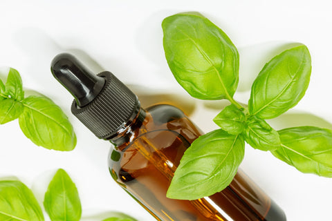 Basil Oil For Hair