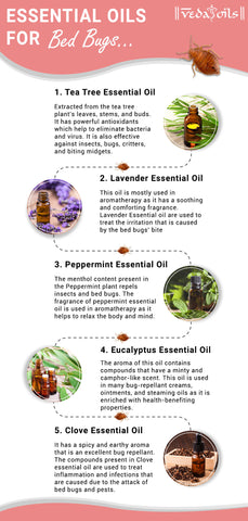 Essential Oils for Bed Bugs Prevention - How to Kill Bed Bugs