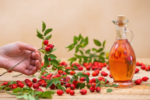 rosehip seed oil benefits