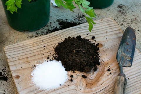 Benefits Of Epsom Salt For Plants