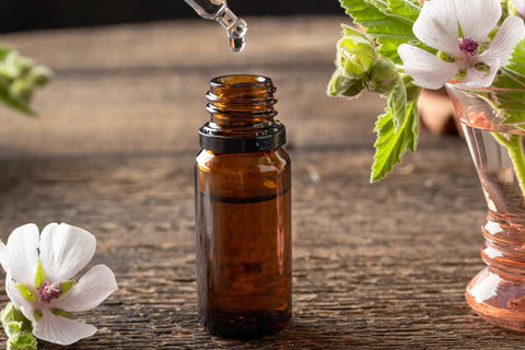 Best Essential Oils For Anemia