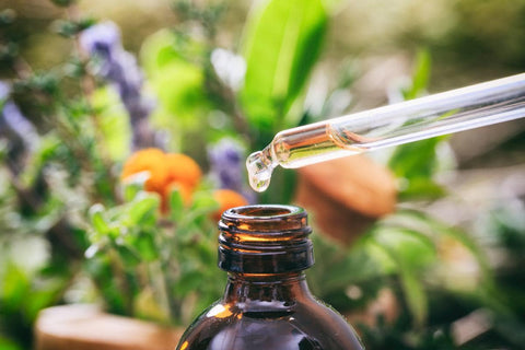 Best Essential Oils For Gardening