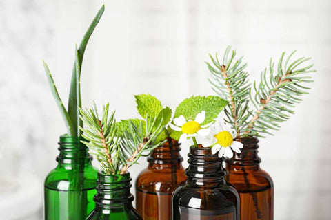 Best Essential Oils For Holidays