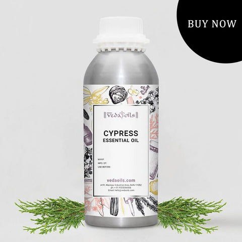 Cypress Essential Oil For Detoxing Heavy Metals