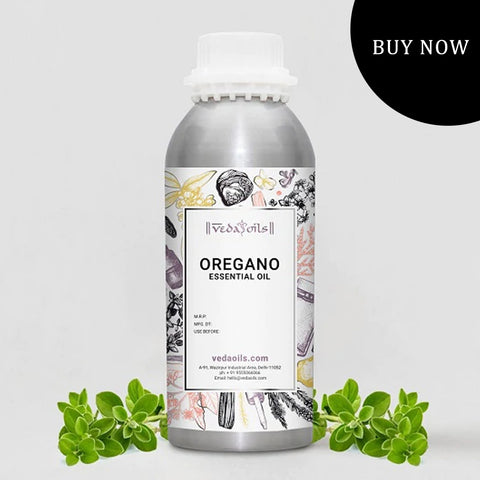 Oregano Essential Oil For Food Poisoning