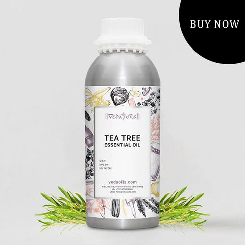Tea Tree Essential Oil For Lice