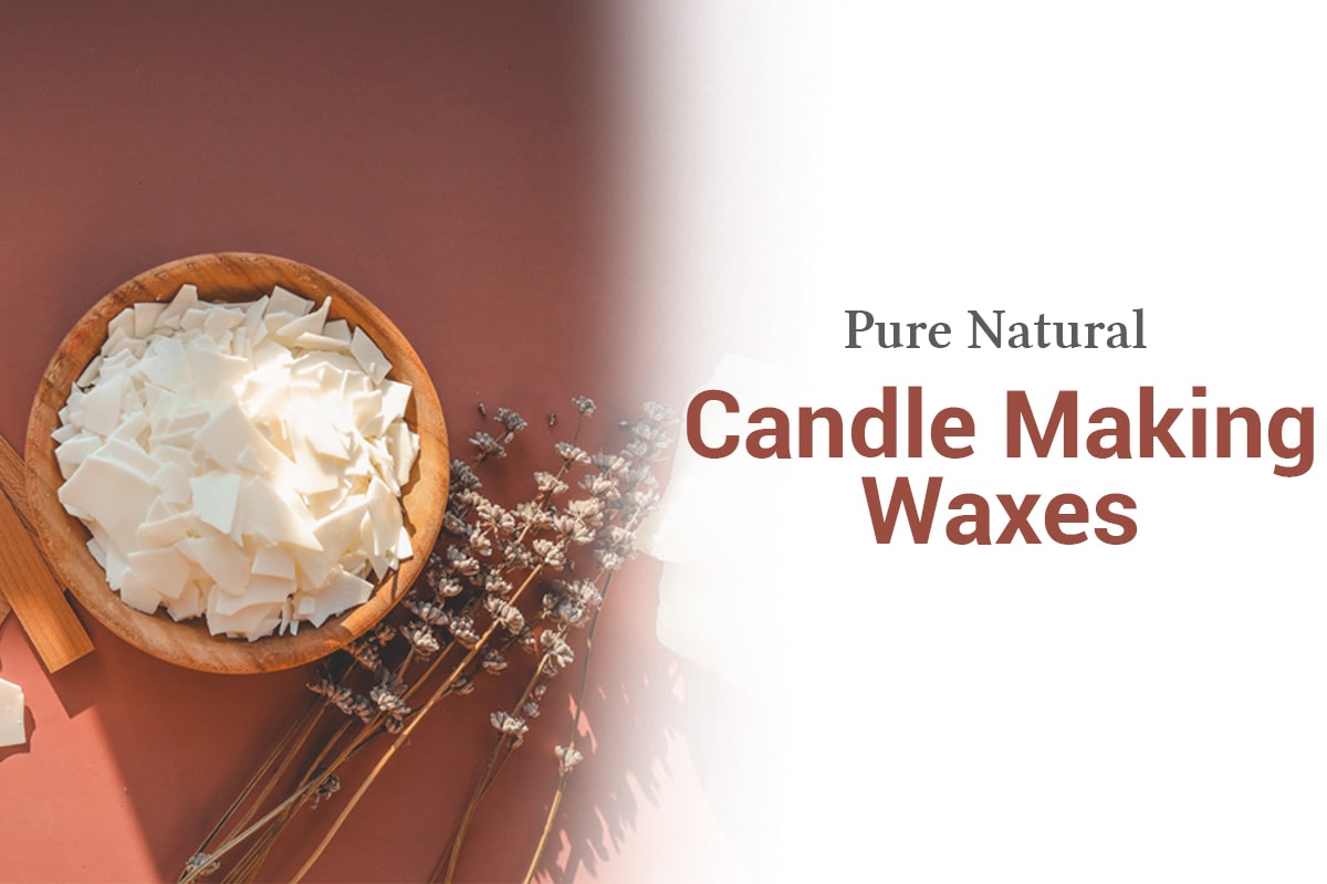 1 Lb Palm Wax for Candle Making, Natural Granulated Palm Wax, Organic Vegan  Wax