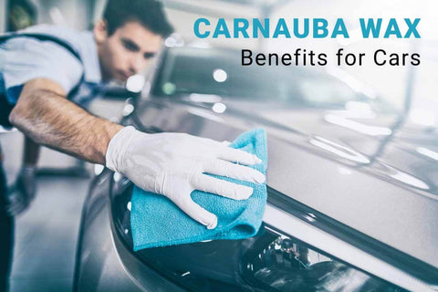 Best Carnauba Wax for Cars  Carnauba Wax Benefits - How to Apply