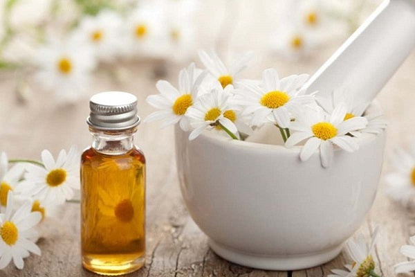 Chamomile Essential Oil