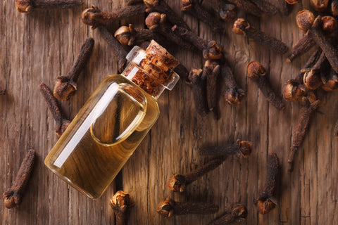 Clove Essential Oil For Skin Whitening