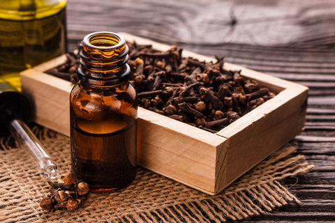 Benefits of Clove Oil For Toothache