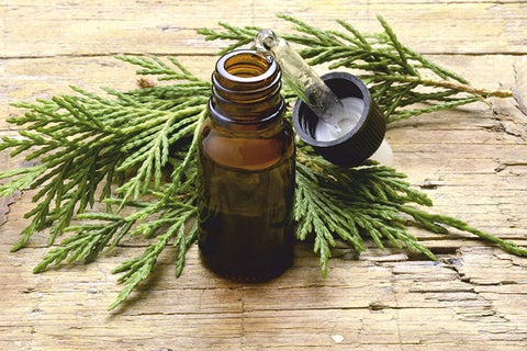 Cypress Essential Oil