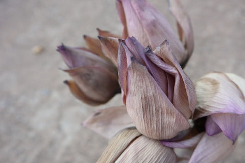 Dried Lotus Flower Brands in India