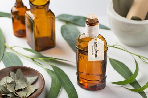 Eucalyptus Oil For Fighting Microbial Infections