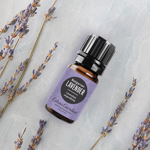 Edens Garden Lavender Essential Oil