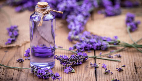Lavender Oil Benefits For Sleep