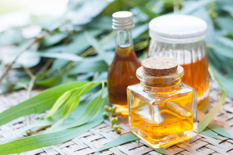 Can I use Eucalyptus Oil For Acne?