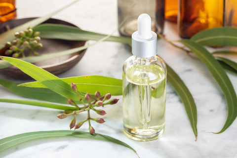 Benefits Of Eucalyptus Oil For Babies