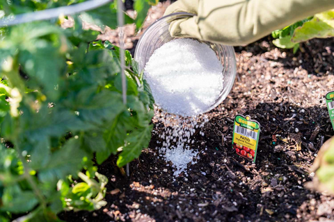 How To Use Epsom Salt For Plants?