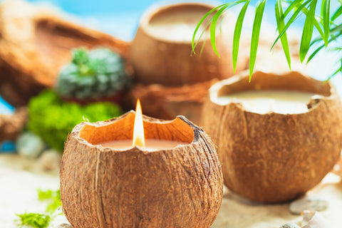 How To Make Coconut Shell Candles at Home – VedaOils