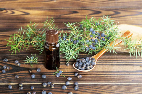 Precaution While Using Juniper Berry Oil For Hair