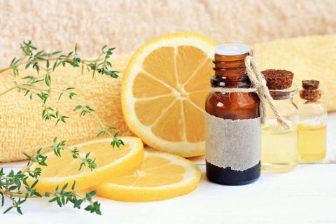 How To Use Lemon Oil For Dogs?