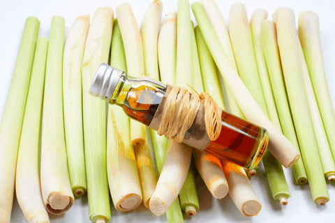 Lemongrass Oil Uses For Skin Care Products