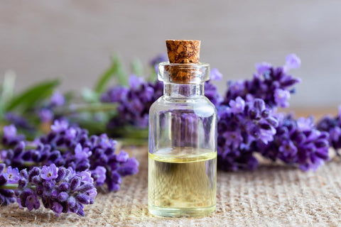Cypress and Lavender Oil For Hair