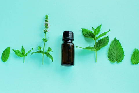 Mint Essential Oils