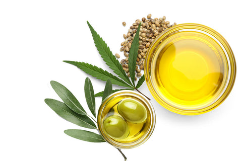 Olive Oil vs Hemp Seed Oil