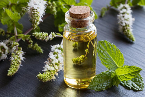 Tea Tree Oil And Peppermint Oil For Cold Sores