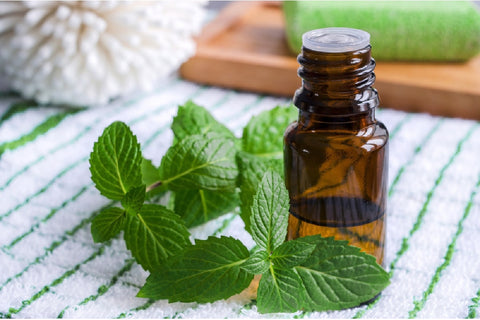 How To Make Peppermint Foot Soak