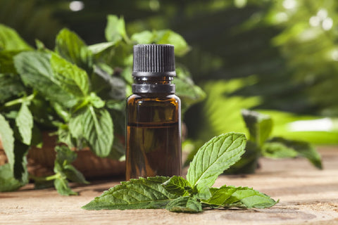 Peppermint Oil For Spiders